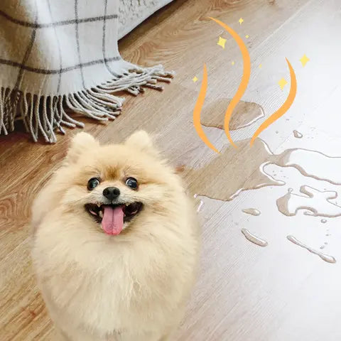 Limpiador de Orina para Mascotas - Polvo Absorbente