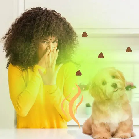 Limpiador de Orina para Mascotas - Polvo Absorbente